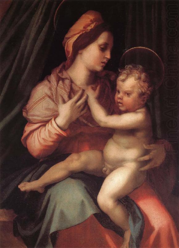 Virgin Mary and her son, Andrea del Sarto